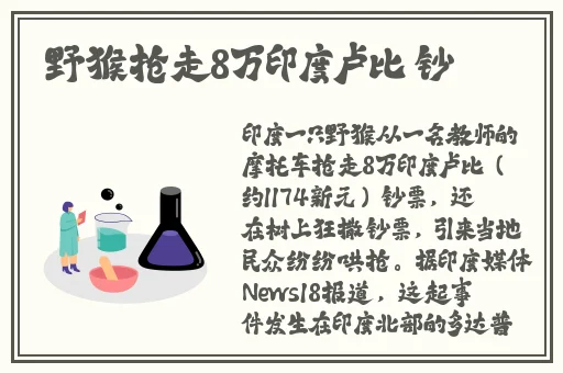 爱爱五月天